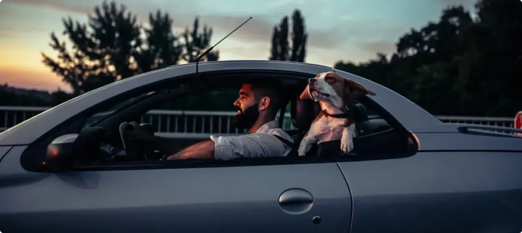 A man driving a card with his window rolled down. In the seat behind him, his dog leans his head out the window to feel the wind.